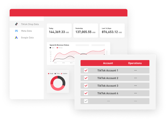Manage Multiple TikTok Ad Accounts