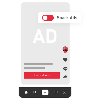 TikTok Ad Placement